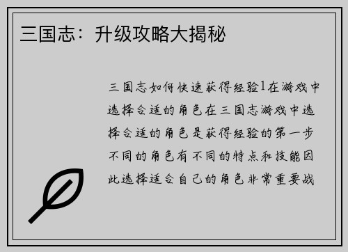 三国志：升级攻略大揭秘